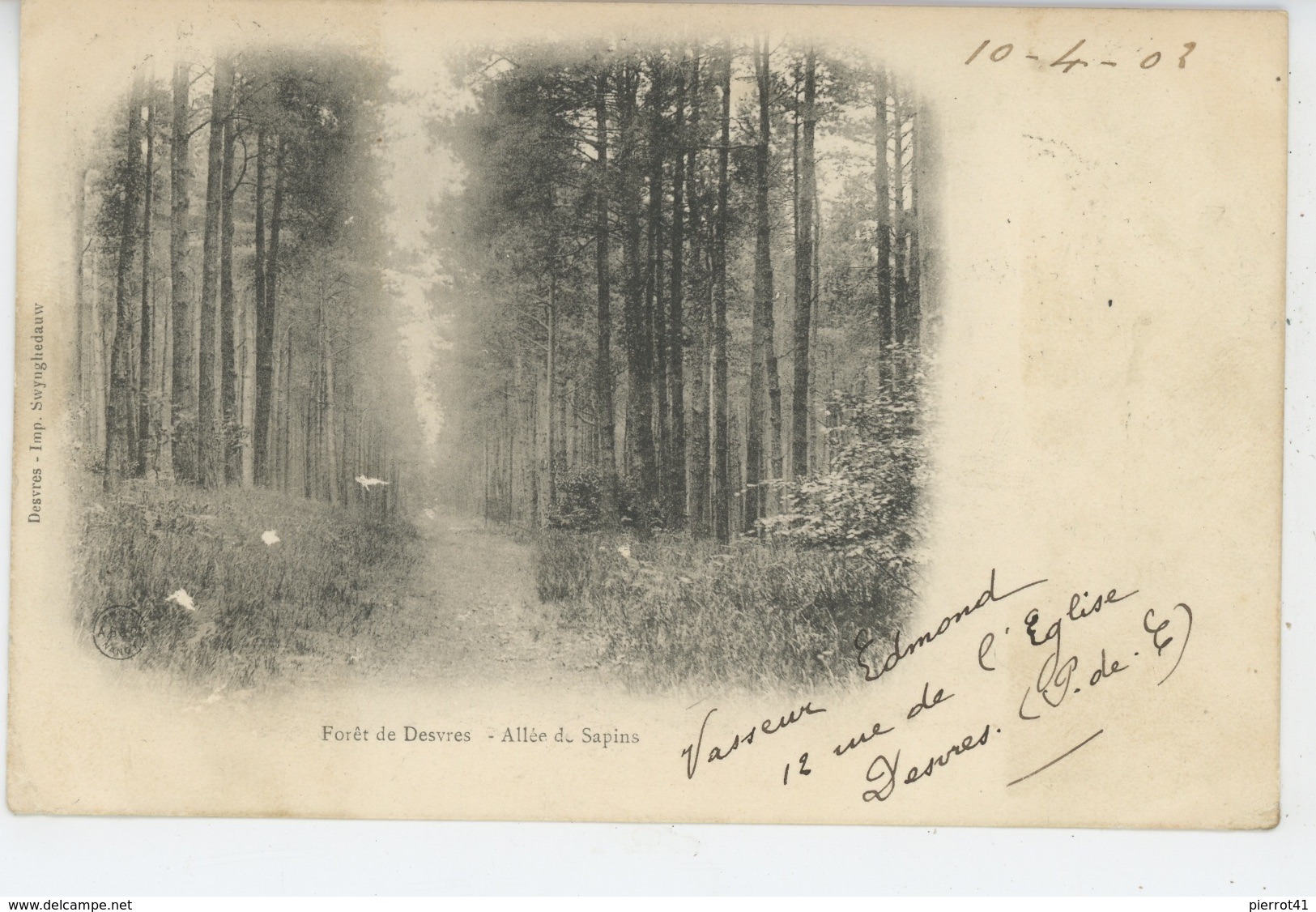 DESVRES - Forêt de Desvres - Allée des Sapins