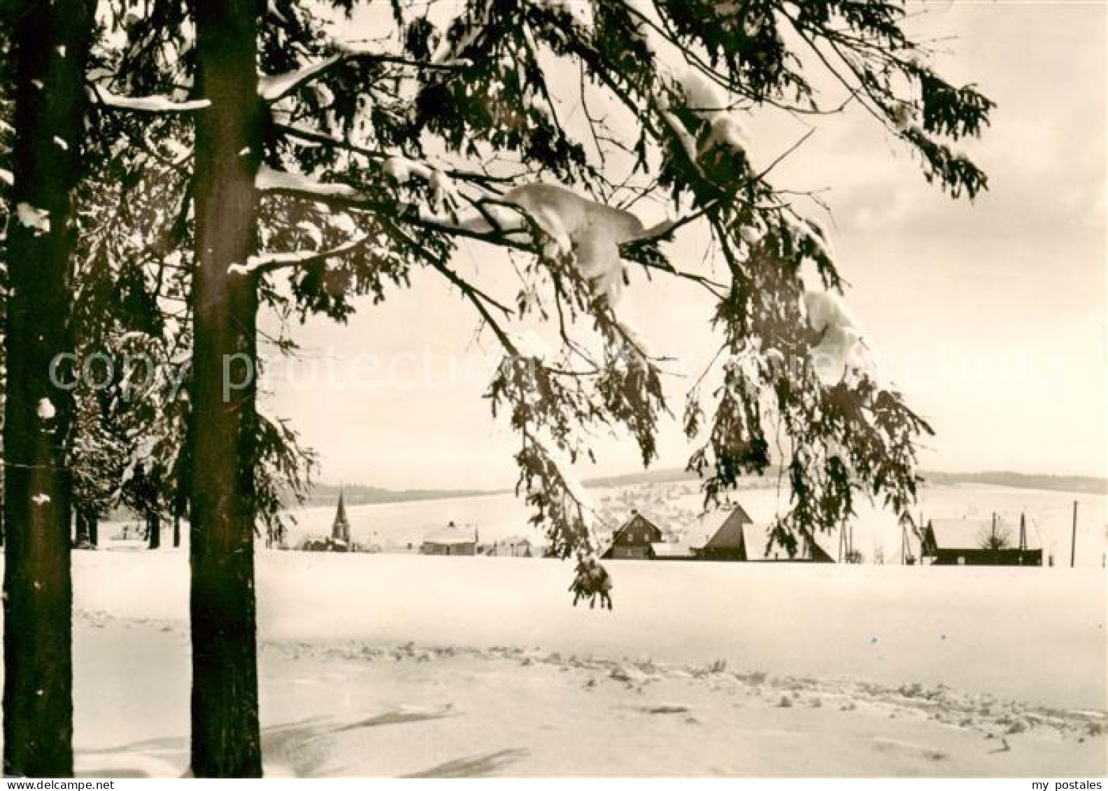 Deutscheinsiedel Deutschneudorf Winterpanorama