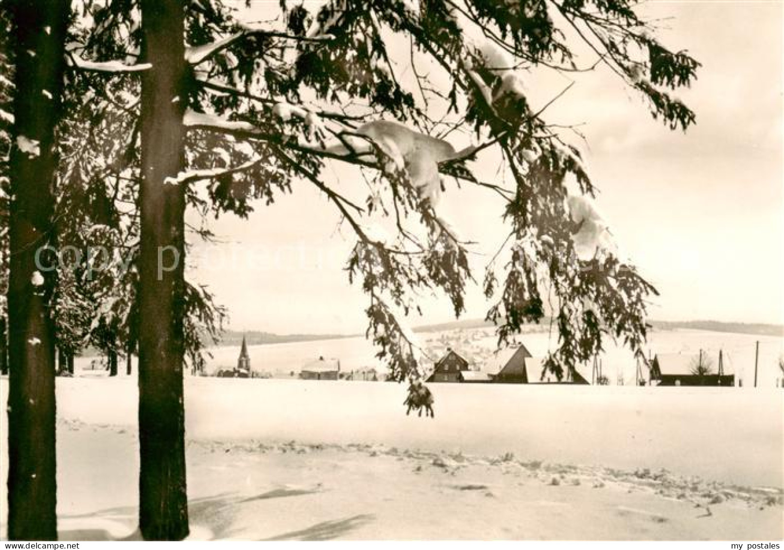 Deutscheinsiedel Deutschneudorf Winterpanorama