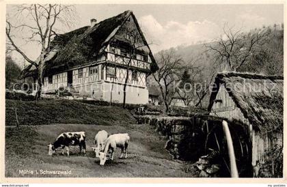 Achern Baden Schwarzwald Muehle