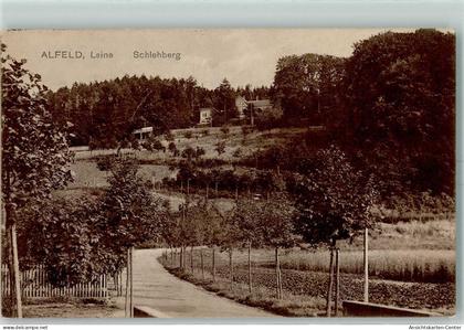 10383356 - Alfeld Leine