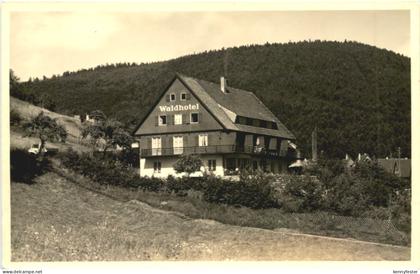 Alpirsbach - Waldhotel