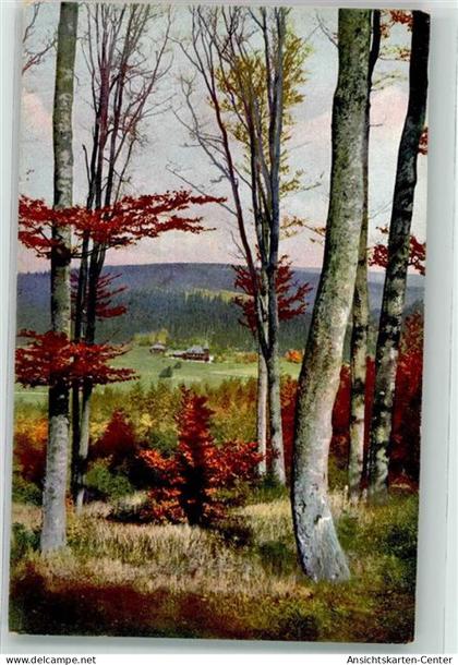 39482886 - Rehefeld-Zaunhaus