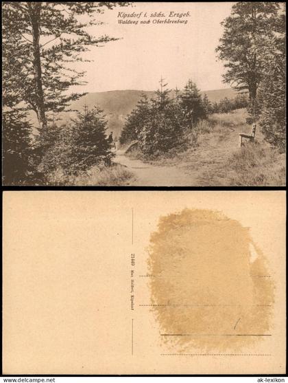 Kipsdorf-Altenberg (Erzgebirge) Waldweg nach Oberbärenburg bei Kipsdorf 1915