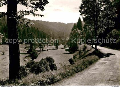 Altensteig Schwarzwald Nagoldtal