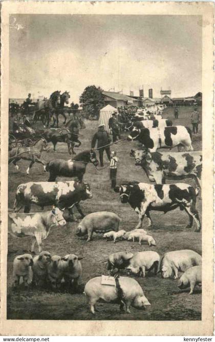 Hamburg - Altona - Ausstellung