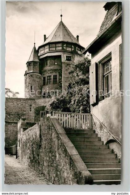 Alzey Schloss