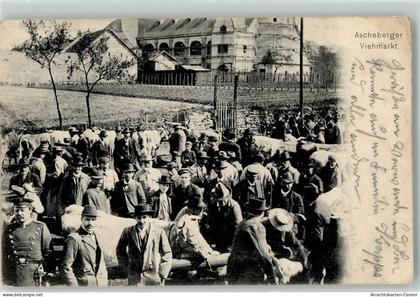 13609239 - Ascheberg , Westf