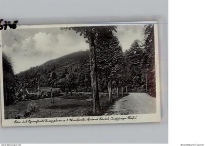 50290342 - Bad Bergzabern