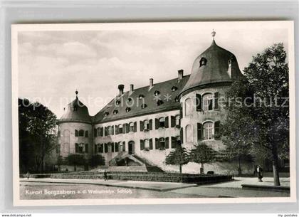 Bergzabern Bad Schloss