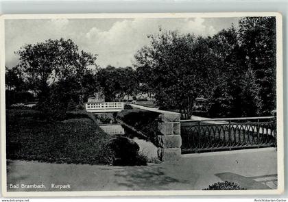 39300477 - Bad Brambach