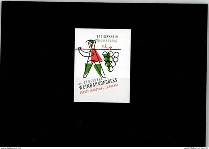 52001335 - Bad Duerkheim