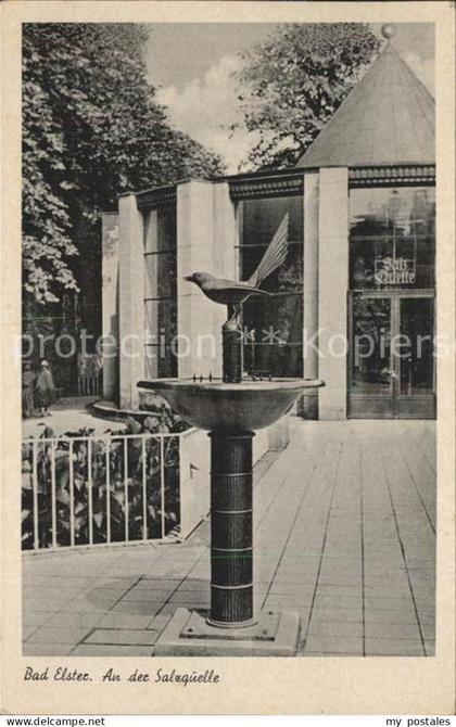 Bad Elster Salzquelle Brunnen Elster