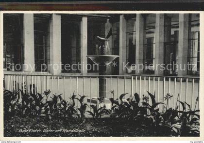 Bad Elster Wandelhalle Elster