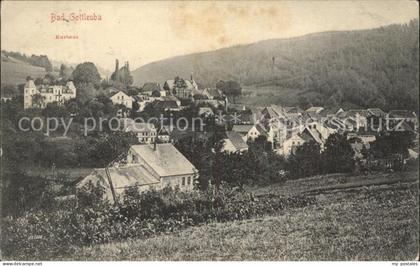 Bad Gottleuba-Berggiesshuebel Kurhaus