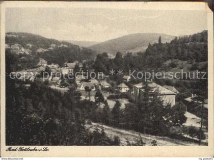 Bad Gottleuba-Berggiesshuebel Panorama