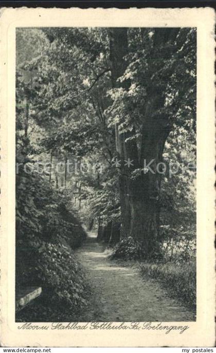 Bad Gottleuba-Berggiesshuebel Poetengang