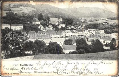 Bad Gottleuba-Berggiesshuebel Stadtblick