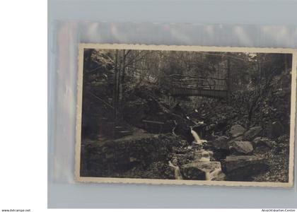 50219483 - Bad Harzburg