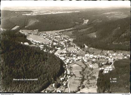 Bad Herrenalb Herrenalb Fliegeraufnahme