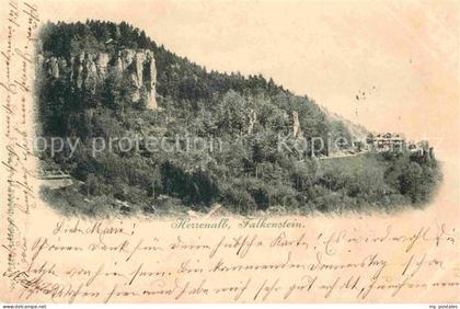 Herrenalb Bad Herrenalb Falkenstein