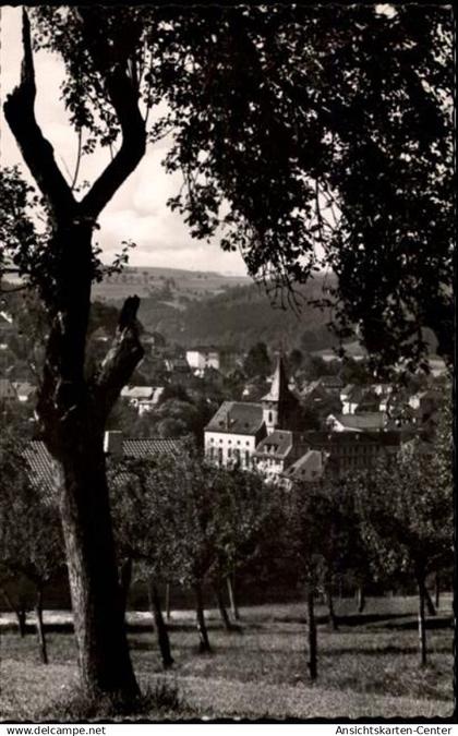 50479445 - Bad Koenig