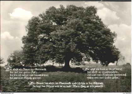 Bad Koenig ieseneiche