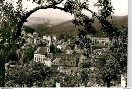 Bad Koenig Odenwald Panorama