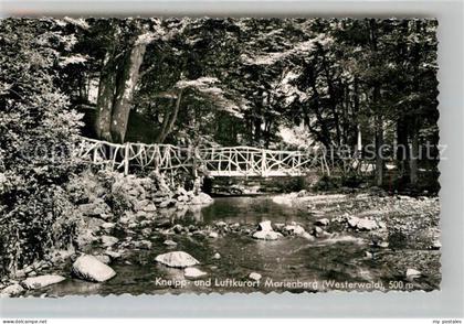 Marienberg Westerwald Bruecke im Wald