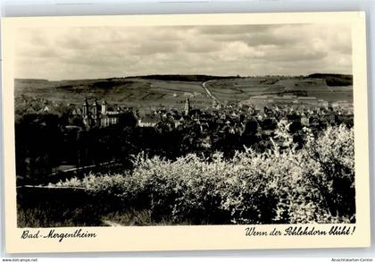 51044884 - Bad Mergentheim