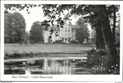 Bad Oldesloe Schloss Blumendorf ungelaufen ca. 1955