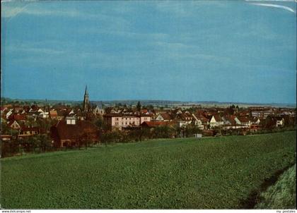 Bad Rappenau Panorama