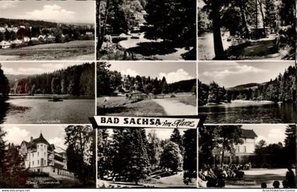 50478266 - Bad Sachsa