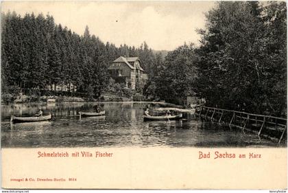 Bad Sachsa - Schmelzteich