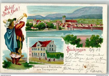 13633026 - Bad Saeckingen