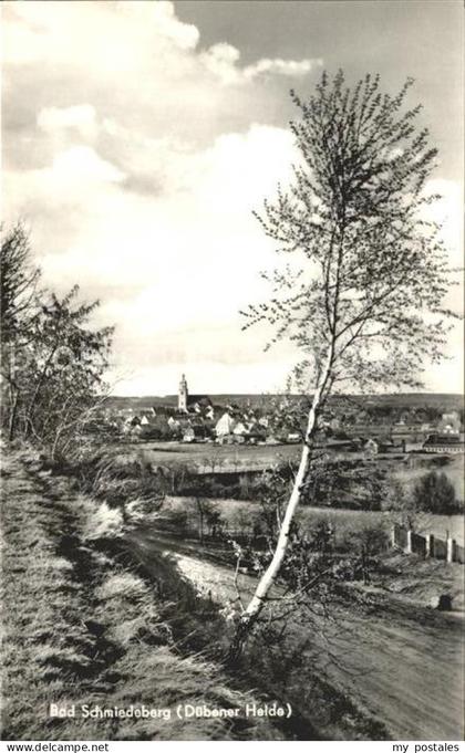 Bad Schmiedeberg Panorama