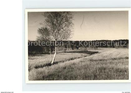 Bad Schussenried Moorlandschaft