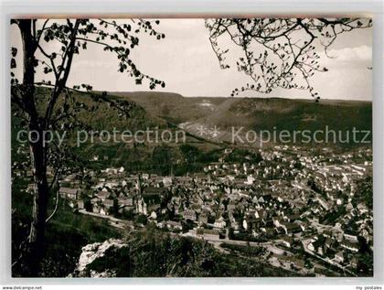 Bad Urach Panorama
