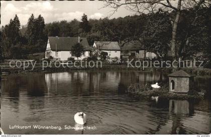 Wuennenberg Schwanenteich