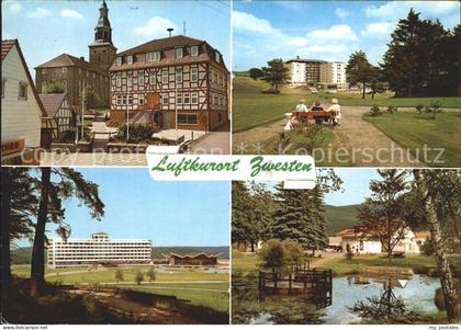 Zwesten Bad Pension Zum Eichhoernchen Cafe Pension Treisberg Park Luftkurort