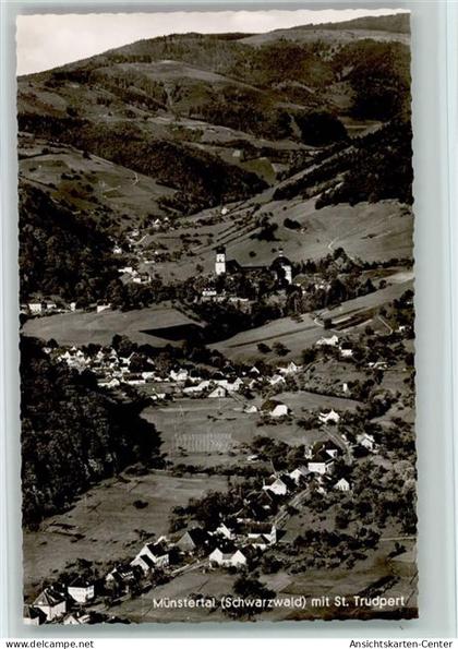 10062454 - Muenstertal , Schwarzwald