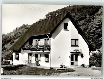 10691934 - Muenstertal , Schwarzwald