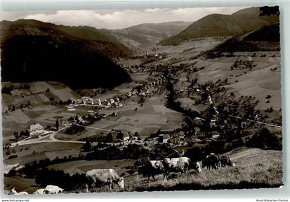 39391131 - Muenstertal , Schwarzwald