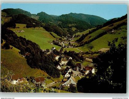 40116103 - Muenstertal , Schwarzwald