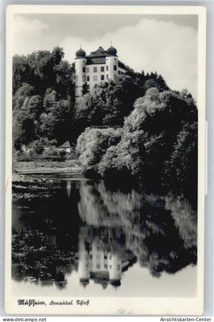 50537761 - Muehlheim an der Donau