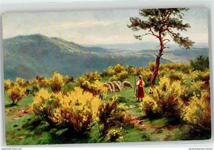 51823660 - Gutach Schwarzwaldbahn