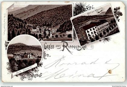 51831369 - Bad Rippoldsau