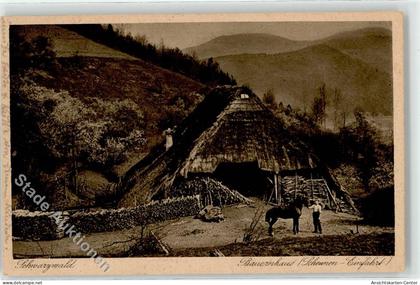 52255279 - Gutach Schwarzwaldbahn