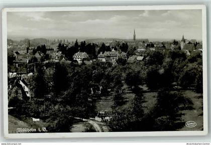 52284969 - Muellheim , Baden