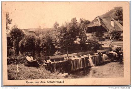 Allemagne - BADE WURTEMBERG - Grus aus dem schwarzwald